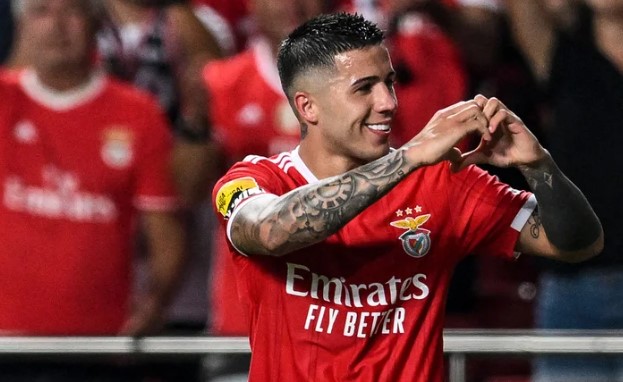 enzo-fernndez-benfica.2