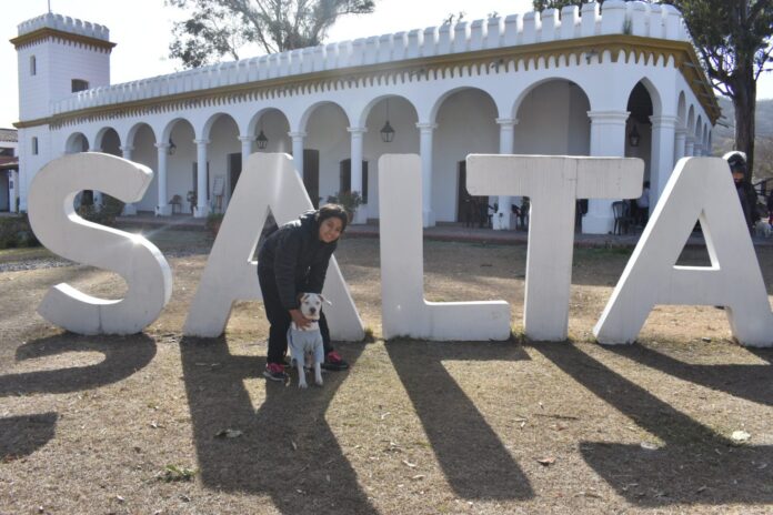 movil quirurgico