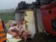 Un camión con carne volcó y le saquearon toda la mercadería
