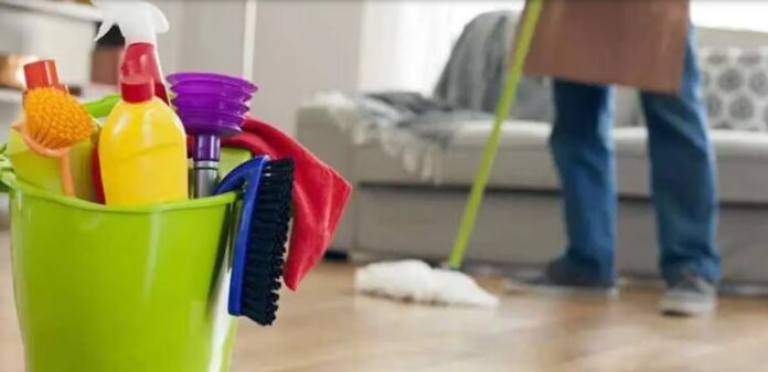 empleadas domesticas.1
