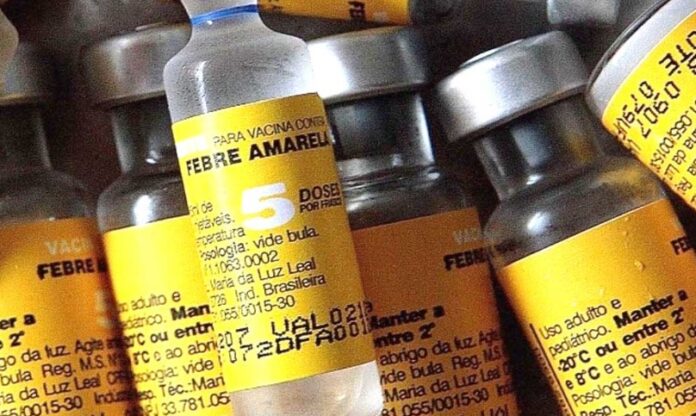 fiebre amarilla