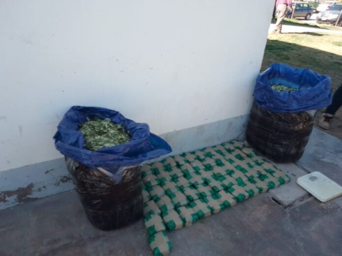cafayate coca
