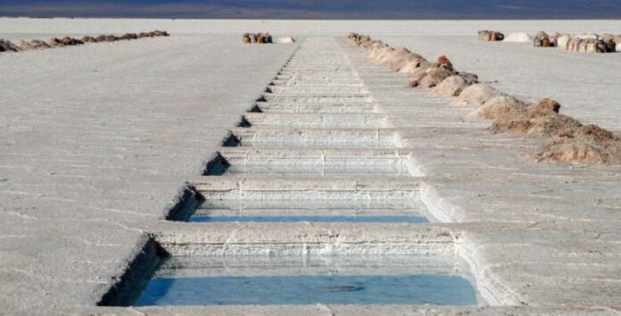 mineria salta y catamarca.1