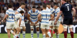 Los Pumas, de la euforia a la desilusión