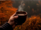 Las propiedades y beneficios que tiene el té verde
