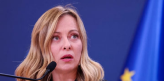 La jefa de gobierno de Italia felicitó a Javier Milei