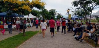 Este domingo se realiza la 1ra edición del Paseo de compras vecinal