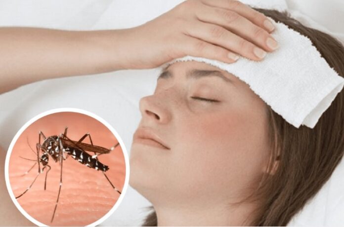 dengue vacuna en salta.2