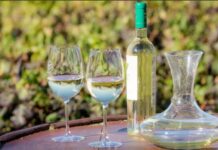 Cachi se viste de fiesta: llega una nueva edición de la Vendimia del Alto Valle Calchaquí