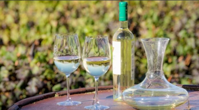 Cachi se viste de fiesta: llega una nueva edición de la Vendimia del Alto Valle Calchaquí