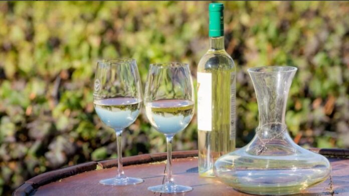 cafayate mundial del vino