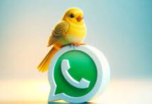 Qué es el “modo canario” de WhatsApp y cómo activarlo en tu teléfono móvil