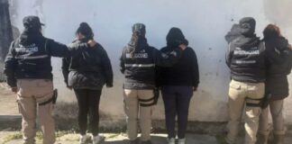 Desarticularon una banda delictiva que operaba en el Valle de Lerma