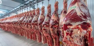 Las claves del nuevo reparto para los frigoríficos argentinos