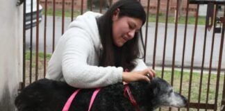 Bienestar Animal: Xuxa fue adoptada y ahora tiene un nuevo hogar