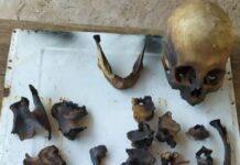 Se investiga el hallazgo de restos óseos en una finca