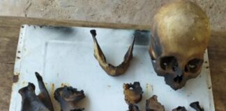 Se investiga el hallazgo de restos óseos en una finca