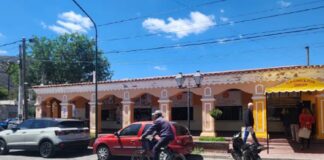 El mercadito municipal Gral. Belgrano recibe noviembre con promos y precios especiales