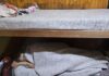 El Hogar de Noche asistió a un promedio de 65 personas
