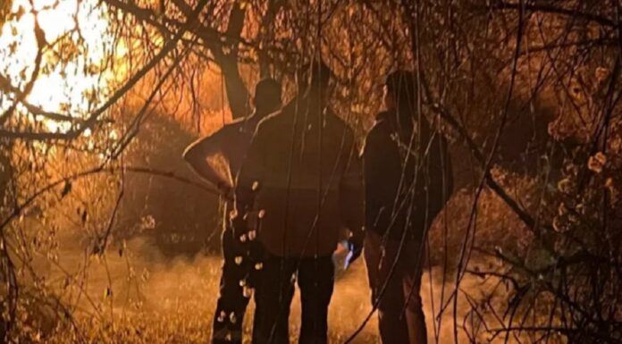 Intenso trabajo de equipos de combate de incendios en Cafayate