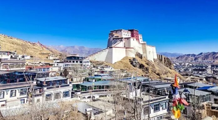 Salta impulsa una agenda estratégica de inversiones con China