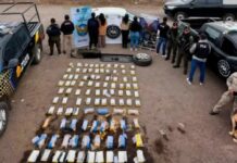 Desarticularon una organización narcocriminal en Salta