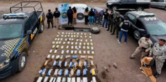 Desarticularon una organización narcocriminal en Salta