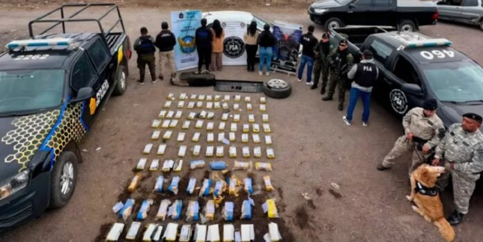 Policialesdrogracabeza