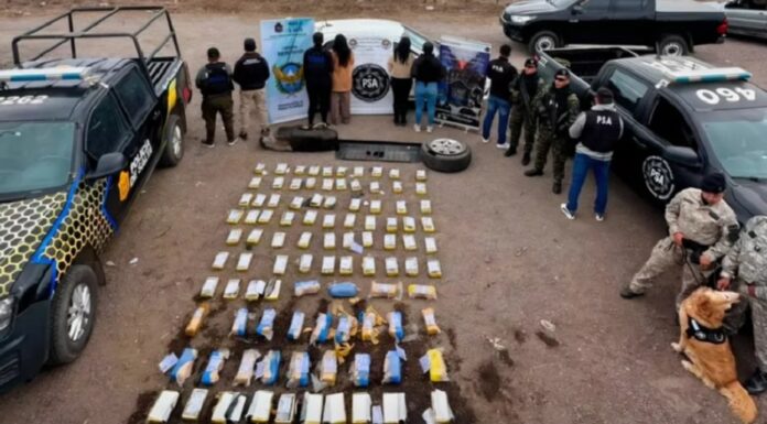 Desarticularon una organización narcocriminal en Salta