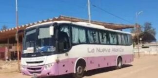 Suspenden el servicio de la empresa Nueva Alianza