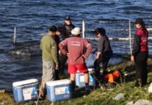 Repoblación de especies en el Dique Cabra Corral
