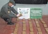 La Policía de Salta incautó 120 mil dosis de cocaína en Orán
