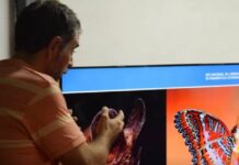 La investigación llega a las aulas salteñas