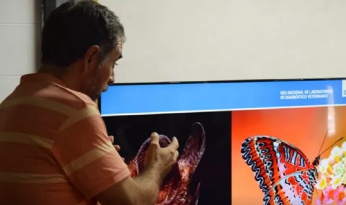 Educacionciencia