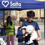 Habrá vacunación antirrábica gratuita en villa Los Sauces, Jesús María y Bicentenario