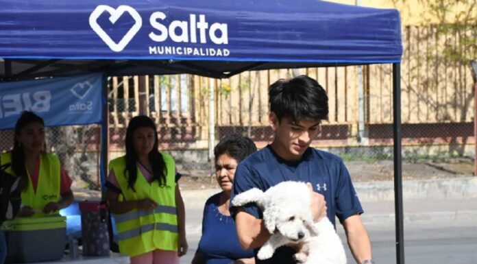 Habrá vacunación antirrábica gratuita en villa Los Sauces, Jesús María y Bicentenario