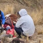 Cafayate: Rescataron a un hombre